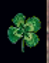 LuckyShamrock2.PNG