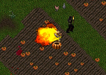 PumpkinPatch2.png
