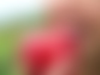 Entrada 1: Un Viaje hacia la Salud Bucal y su Impacto en el Bienestar de nuestra salud Integral: