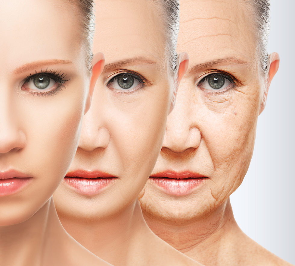 shutterstock_218870788_site Fluxo