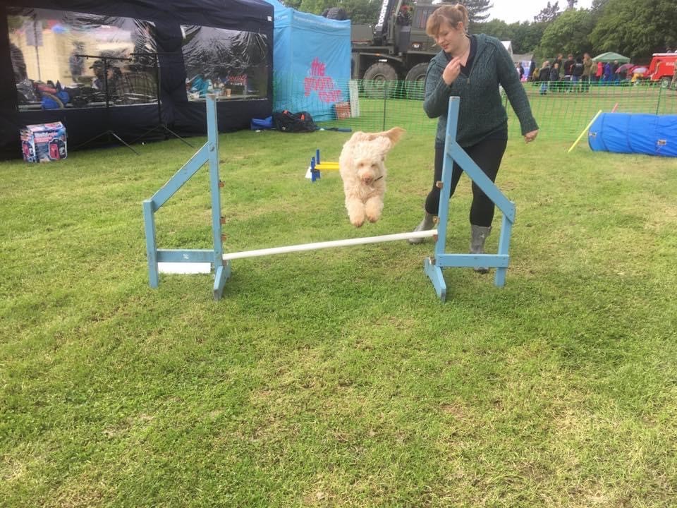 Dog Behaviourist 121 Dog Training England