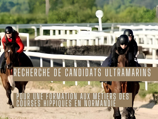 Des opportunités dans les métiers du cheval pour les candidats ultramarins : ouverture du recrutement AGVE 2027-2028