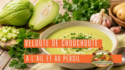 Velouté de chouchoute à l’ail et au persil
