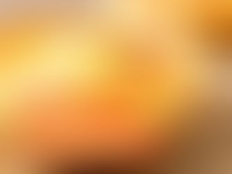 Quiche au jambon fumé