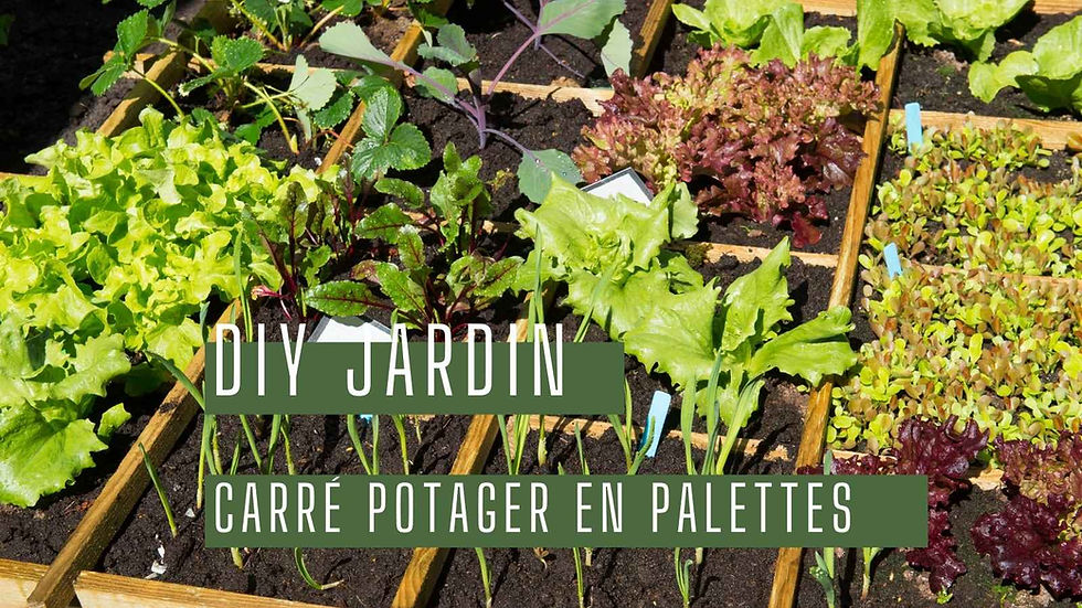 DIY Jardin : Créez votre carré potager en palettes