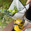 Miniatura: Caixa Lemon kit Michel Design Works + buquê