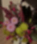 WhatsApp Image 2026-03-12 at 18_edited.jpg