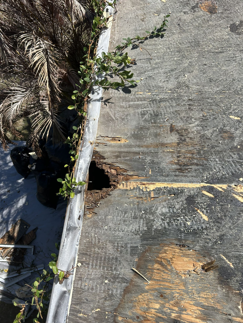 Flat Roof Replacement Palm Bay Hole From Rotten Wood
