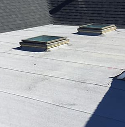 Flat and shingle roof sections with skylights