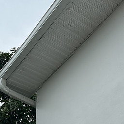 IMG_7625.jpg