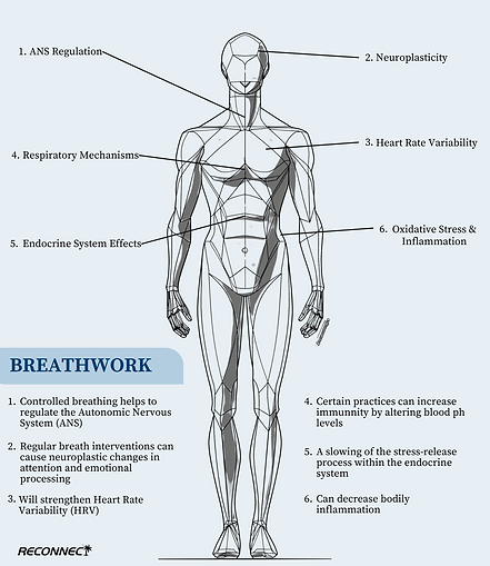 Breathwork Effects