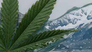 La reforma a la Ley de Glaciares también afecta al cannabis medicinal