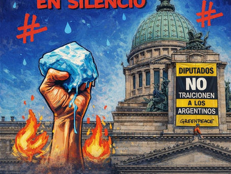 Diputados debate este 8 de abril la reforma de la Ley de Glaciares. Greenpeace realizó una acción frente al Congreso y se multiplican las marchas en todo el país.