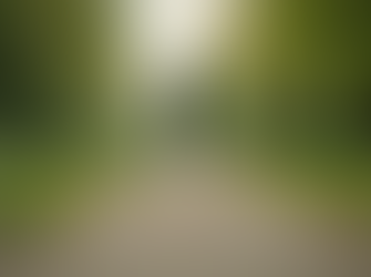 Boost Your Insulin Sensitivity Effectively