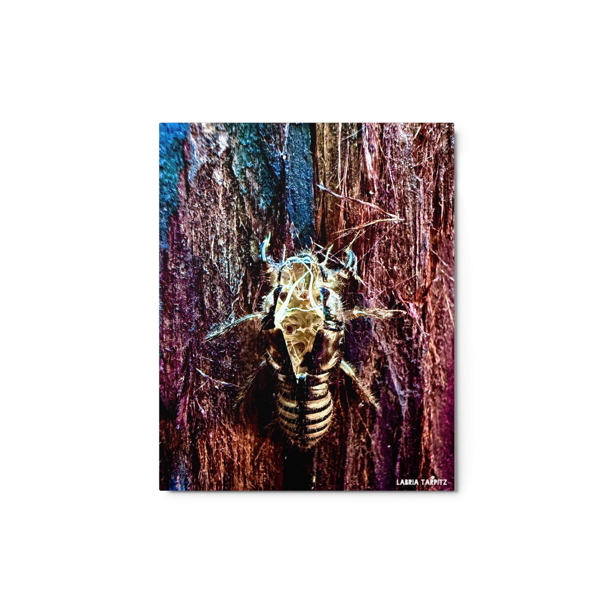 out of the box metal print