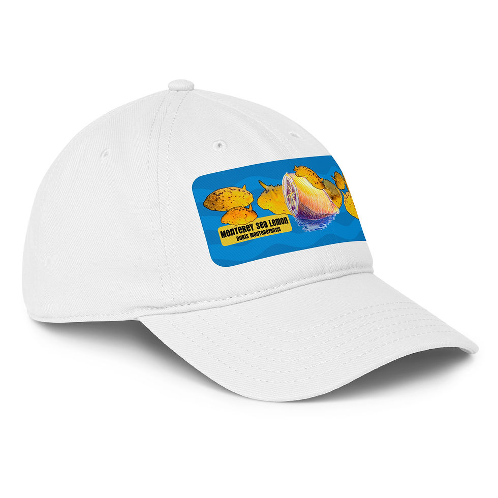 Thumbnail: Monterey Sea Lemon: Low-profile baseball cap