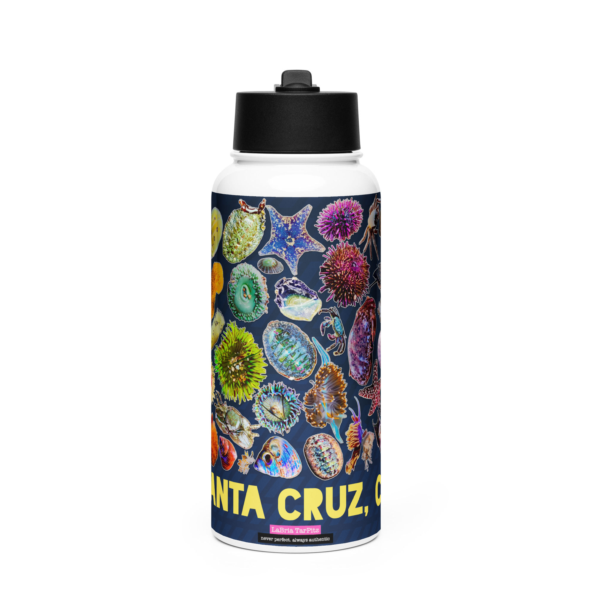 Tidepools- Stainless steel water bottle with a straw lid
