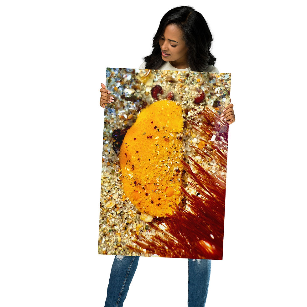 Thumbnail: monterey dorid metal prints