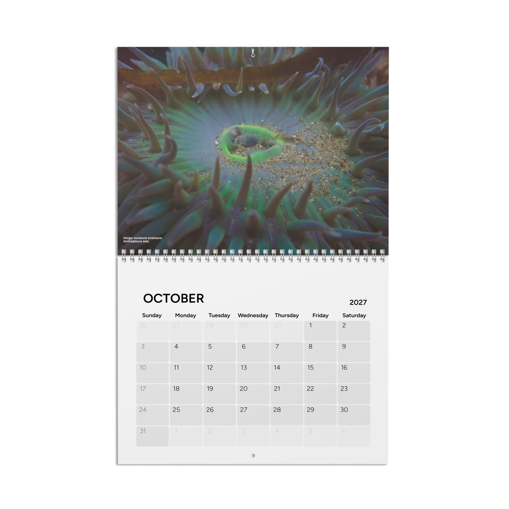 2027 Calendar