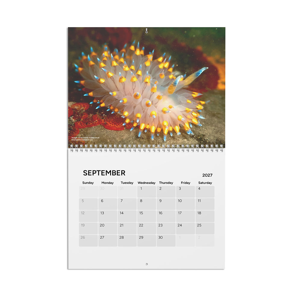 Thumbnail: 2027 Calendar