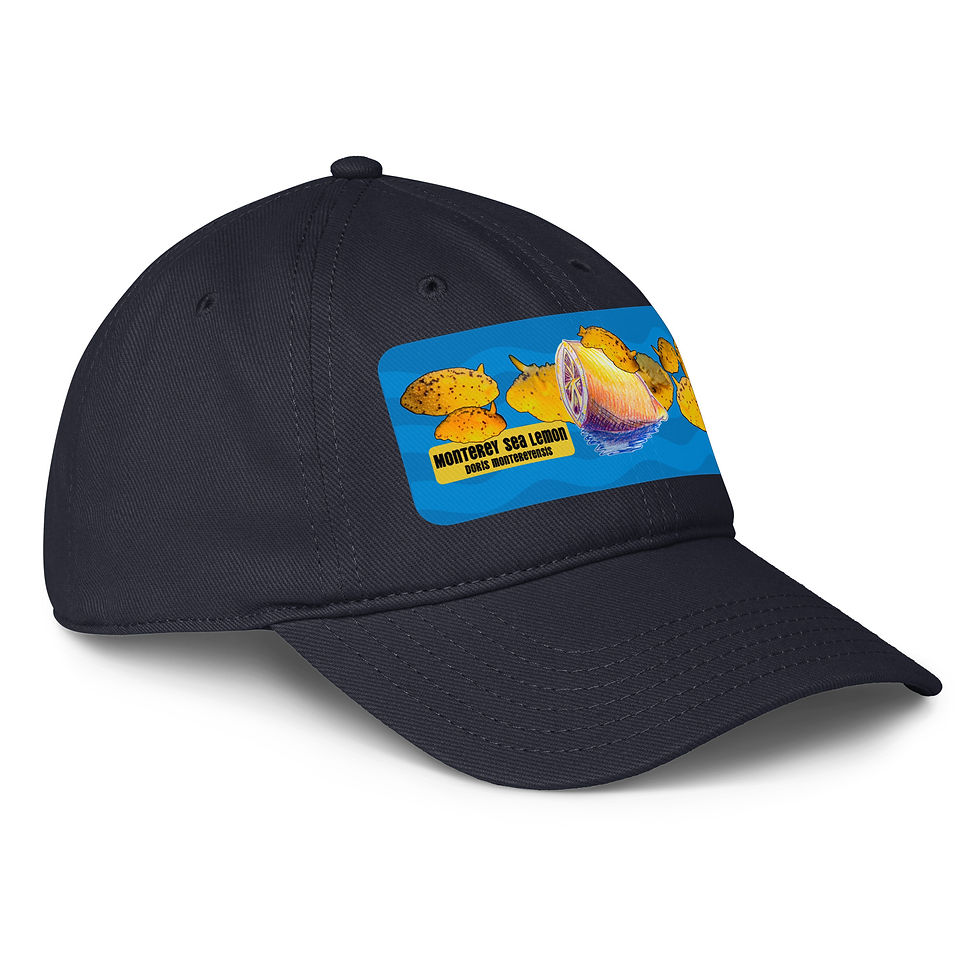 Thumbnail: Monterey Sea Lemon: Low-profile baseball cap