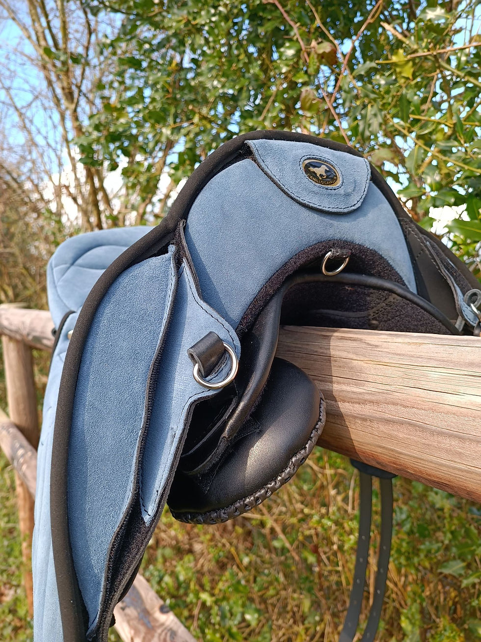 Miniature : Selle Ghost Modèle Buttera