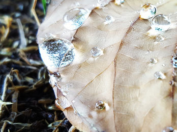 Freedom and Tolerance