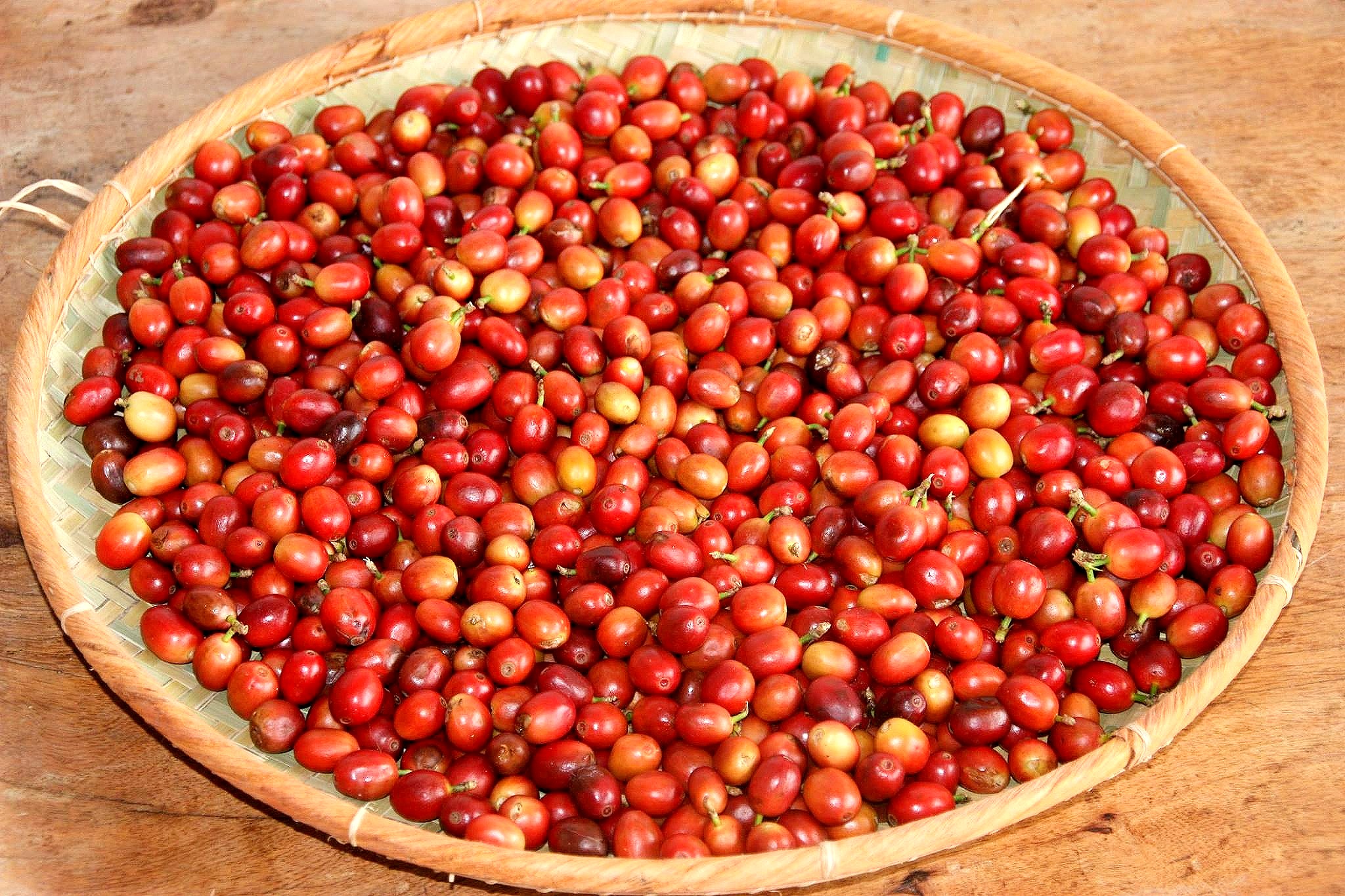 Café grillé du domaine