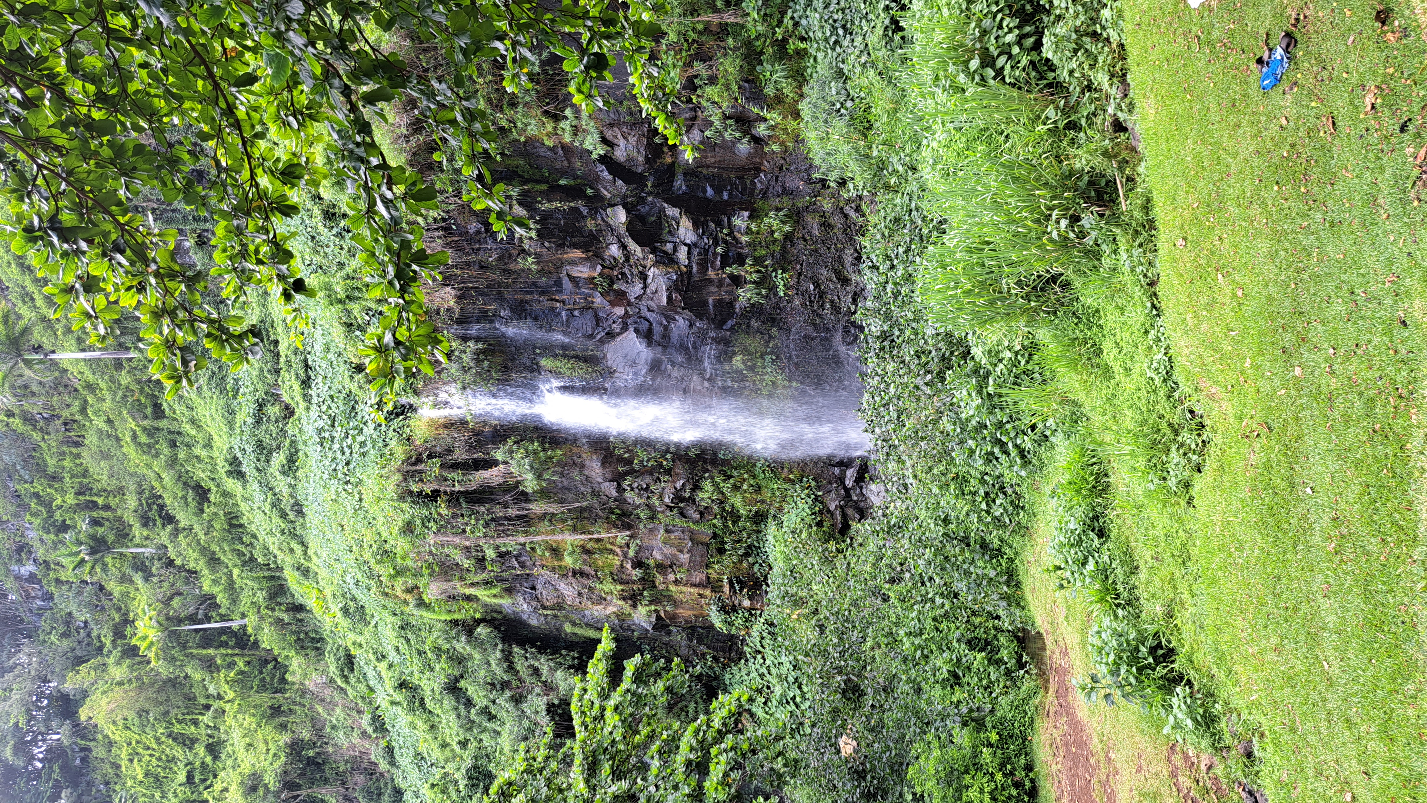 Barques de Saint-Philippe