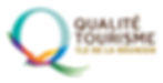Logo QTIR.jpg