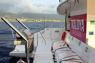 Déjeuner en mer 19 HD_edited.jpg