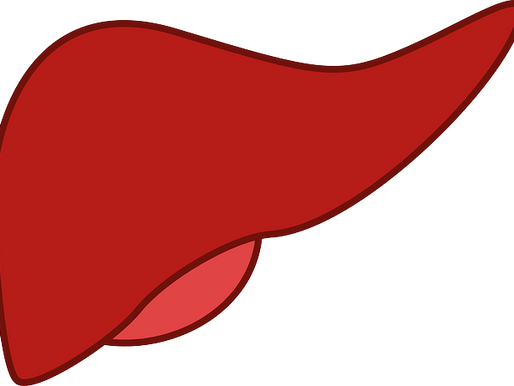 Liver | The Gateway of Human Body