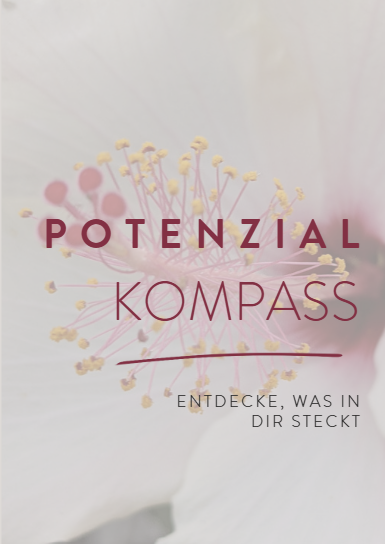 Cover Potenzialkompass.png