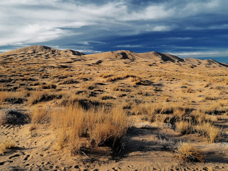 Kelso Dunes