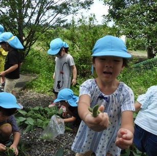 畑田保育園の園児たち