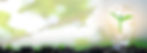 AdobeStock_323909658.jpeg