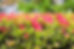 AdobeStock_590949617.jpeg