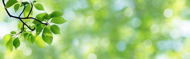 AdobeStock_422472526.jpeg