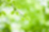 AdobeStock_284608631.jpeg