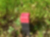 AdobeStock_299887235.jpeg