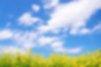 AdobeStock_257233860.jpeg