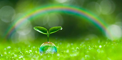 AdobeStock_104263120_edited.jpg