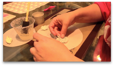 Step 8