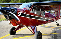 AVIAT AC-1 200 HUSKY