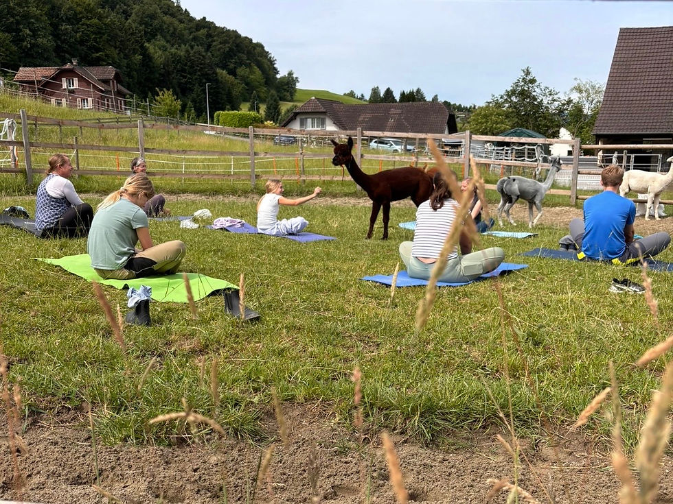 YOGA 1.jpg