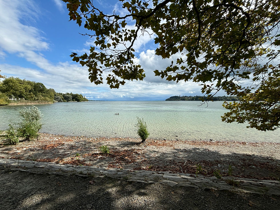 Psychologische Beratung