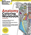 Anatomy Coloring Book.jpg