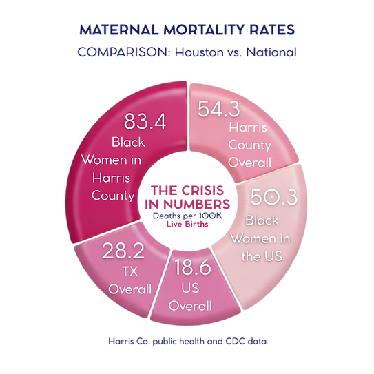 maternal mortality rates comparison houston.png