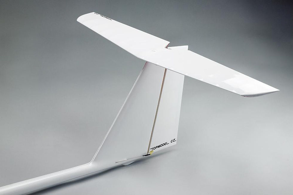 Thumbnail: Thermik Dream 3m ARF