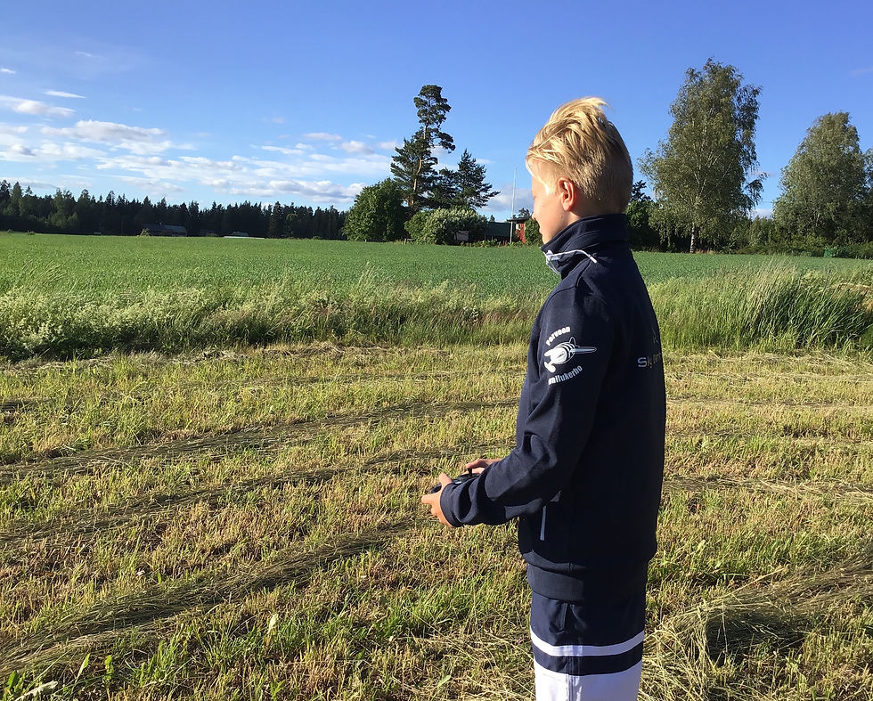 Thumbnail: MULTIPLEX SMART SX6 M-LINK mode 2+4